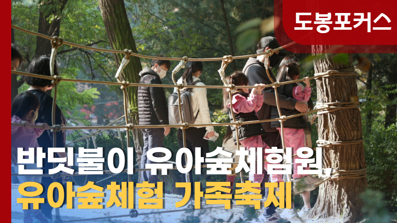 [도봉포커스] 제9회 유아숲체험가족축제