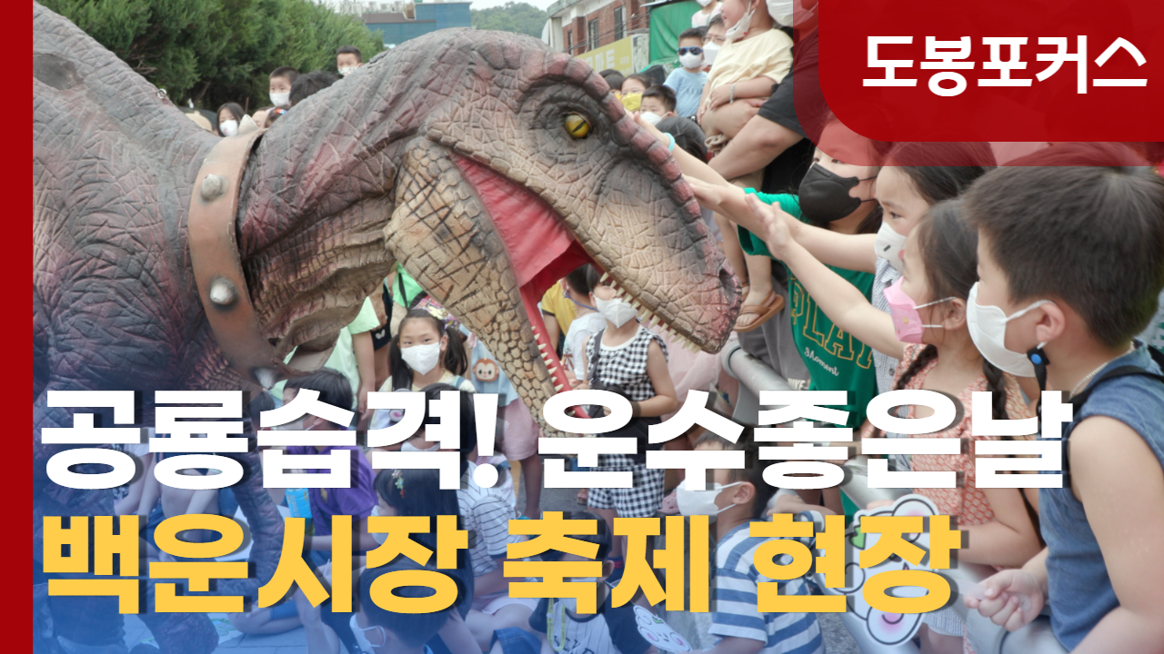 [도봉포커스] #백운시장 주말축제가 열렸습니다!! #운수좋은날 #공룡습격